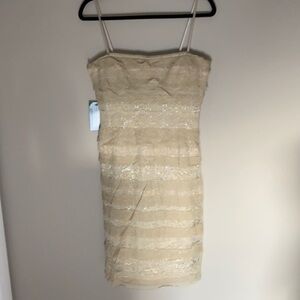 NWT BCBGMaxazria cream lace tulle strapless dress Size Medium